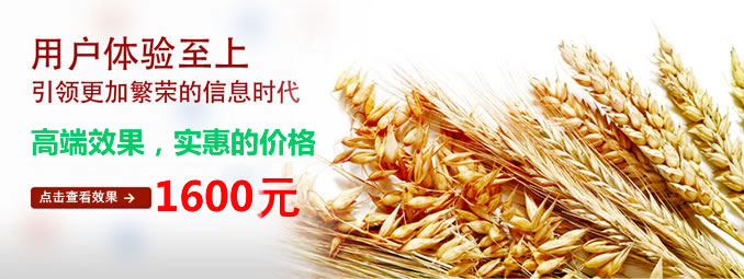 成品网站,模版网站