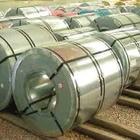Hot Rolled/Cold Rolled Steel Coils